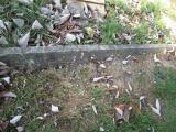 image of grave number 580043
